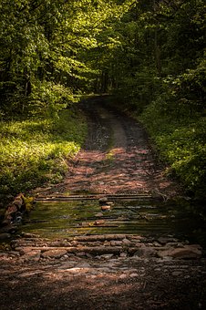 ��ν�����Ч�ČW��Ӌ������ߌW��Ч��
