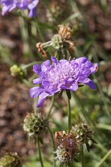 �ഺ�ں��ӵ��ʱ�������������(du��)��