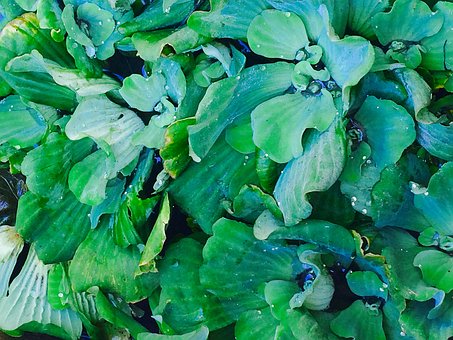 С�����Ĳ����ɛ]���x���Ǟ�ʲô