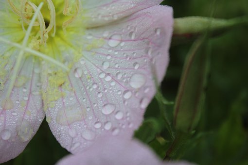 孩子犟嘴脾氣暴躁厭學怎么管教
