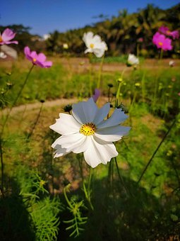 �������ӿ˷����W��w���Pע�W������еľC�ϴ�ʩ