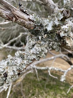 ���L���ע�غ��ӵ���������