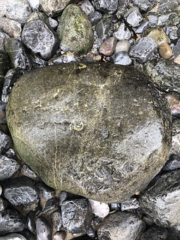 三年級(jí)孩子就是不寫(xiě)作業(yè)怎么辦