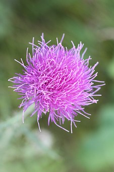 �俼2011���п����������(zh��n)��