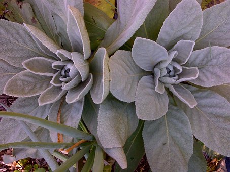 ���ӵ�������������ĸ��ԓ��ô�k