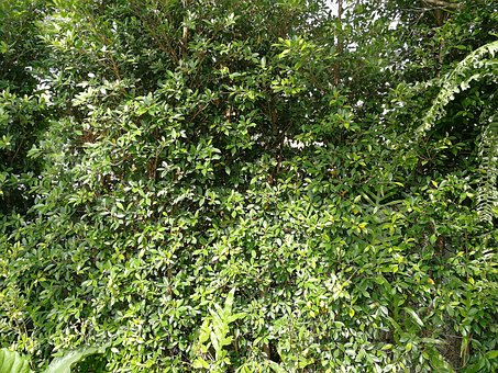 �����ڶ̕r�g�ȌW������ �����\Մ�߿�����ČW������