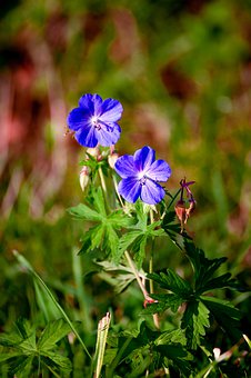 青少年不聽話管教學(xué)校