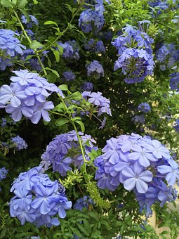 12�qŮ���� Ԓ������ô����