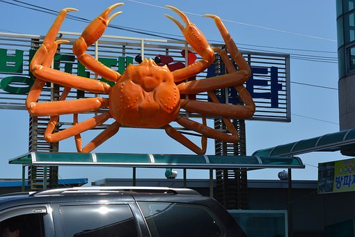 ���Ӆ��W��ν���