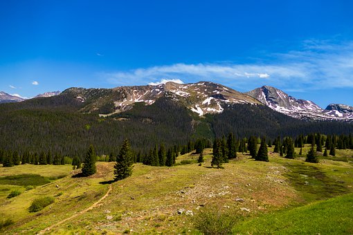 ���L��Ύ��������cͬ�W��̎