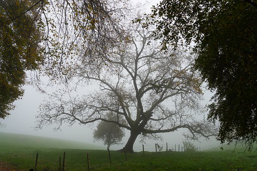 �п����ؿ����п���ԇ�����l�]��10����