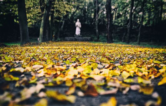 15歲的小女孩談戀愛(ài)了父母怎么辦