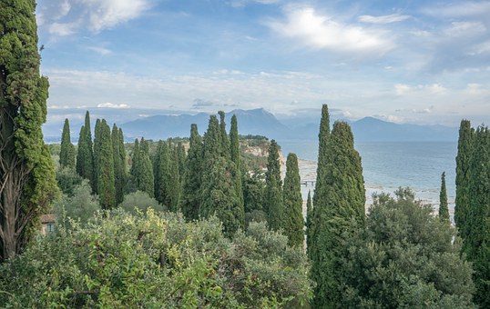 �����ײ�ώ����L��ԓ���ӽ���