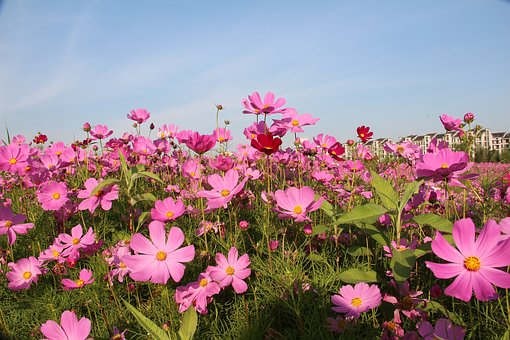 ���Ӳ� Ԓ����������Ҫ�o��