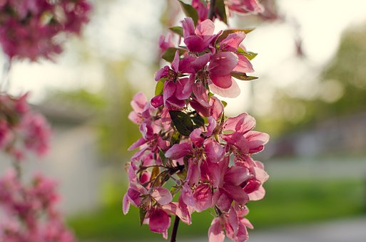 ���Ӳ���Ͳ� (t��ng)Ԓ�����L(zh��ng)������_����(d��o)����ጷ�ؓ(f��)����w