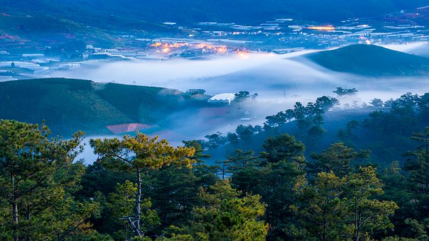 ���ٴ�ӛ��������X�ЌW����5���W������