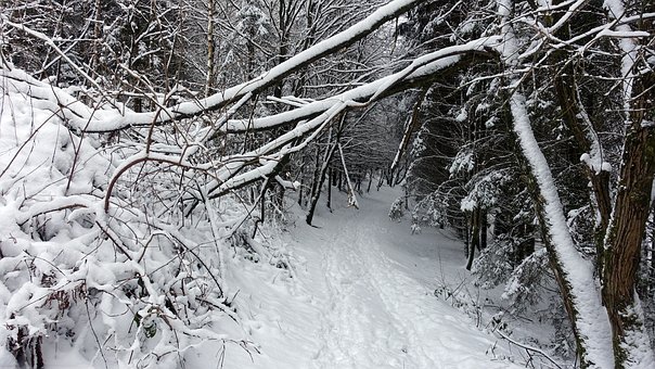 �����߳������W���ɿ�