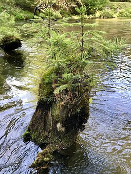 һ�꼉�W�����W��ô�k