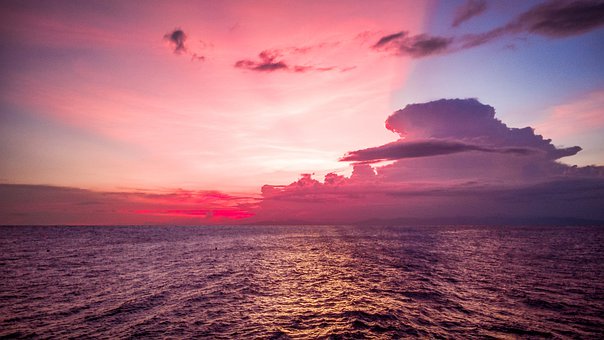 名師指點(diǎn):中考生各科提分策略