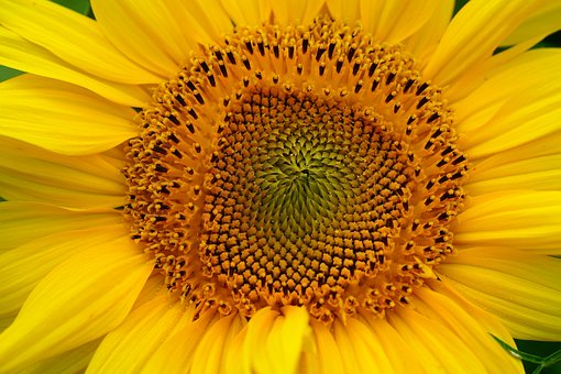 ������ĺ�����ô����