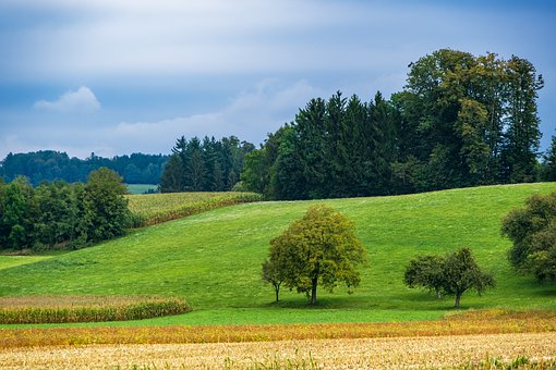 ��һ�W(xu��)���W(xu��)��(x��)��(w��n)�}��̽ӑ