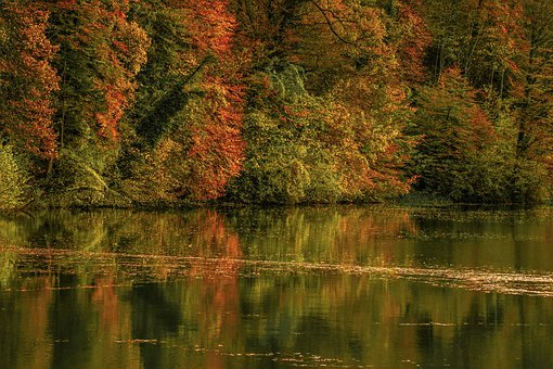 С���{(di��o)Ƥ�� Ԓ��ô�k