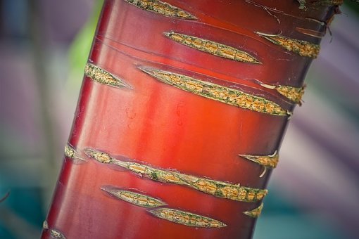 С���όW(xu��)���e�O��ô�k