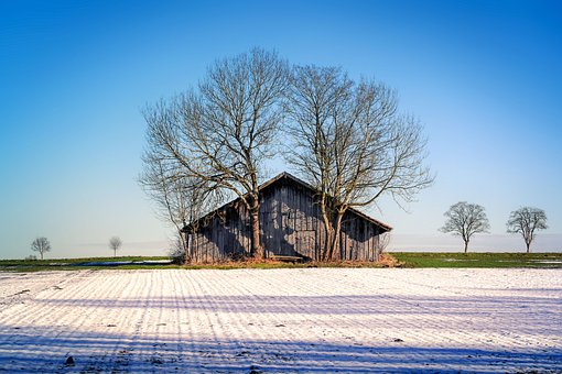 輔導作業總是忍不住打孩子怎么辦