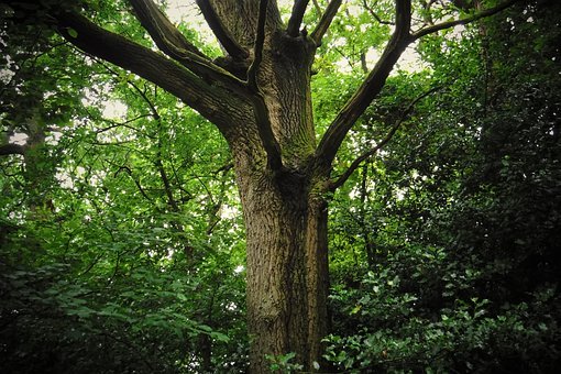 �������]��˼�x����ô�k