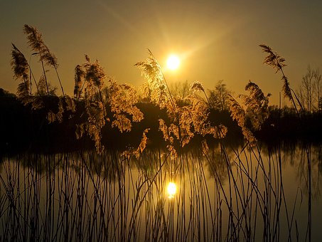 ���Ѕ��W(xu��)���ӽ�Q