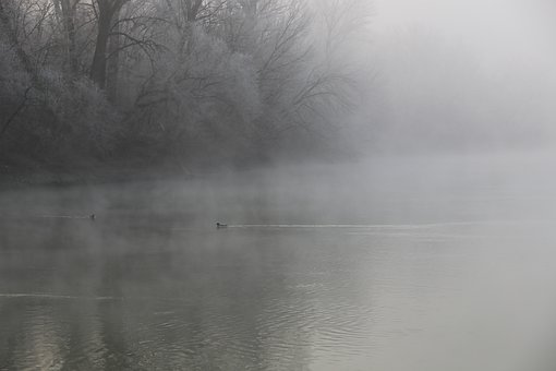 美國教授的育兒經驗:將孩子從屏幕拉開看動漫了解男孩心理