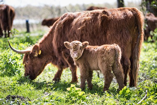 男孩子不寫作業(yè)有7種原因