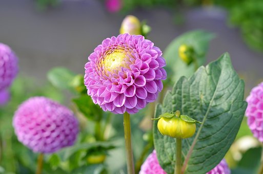 ��������cȼ�W�����飬��������������