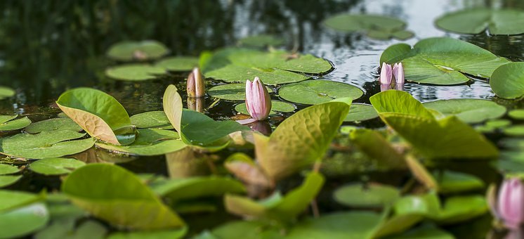 女兒有早戀的跡象怎么開導