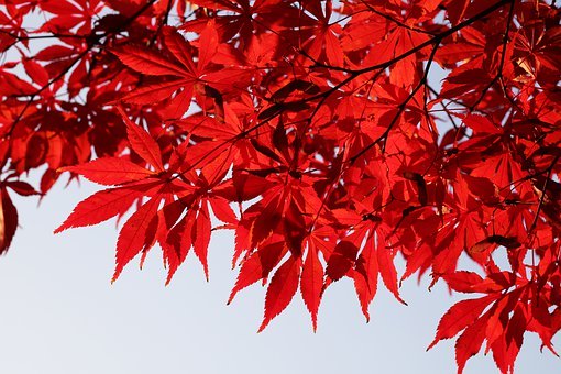 7歲孩子撒謊是什么原因