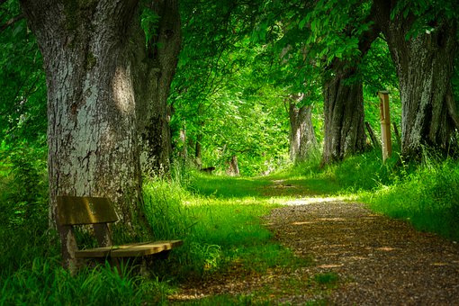 ���淴�ڵĺ������_�Ľ�������