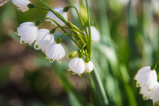 �z�W�����ČW���������ӌW���ęC����;��