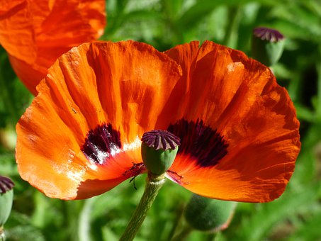 孩子高中英語成績差怎么辦