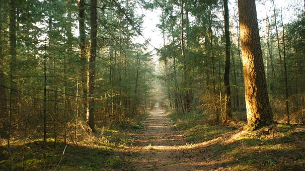 �������I���Ĵ���Ҫ��ô�m��