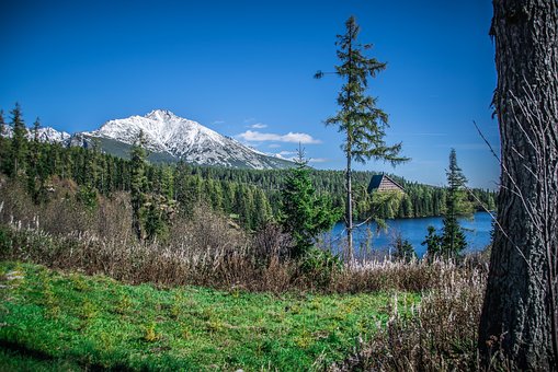 如何應對叛逆期的孩子不想上學
