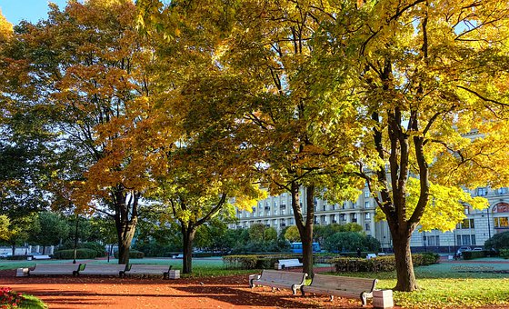 �����όW�����������S������@Щԭ�򉺵�TA�����^��