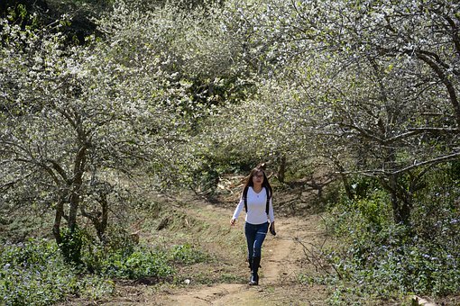 �����к������όW���L��ô�k