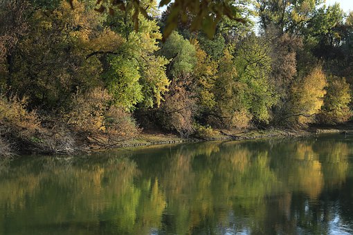 ���������ڲ��یW����ô�k