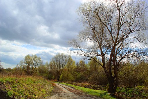 �����߿��·��� ���˚gϲ���˳�