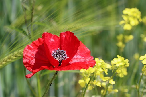 請(qǐng)家教中家長該怎么和家教老師相互配合?