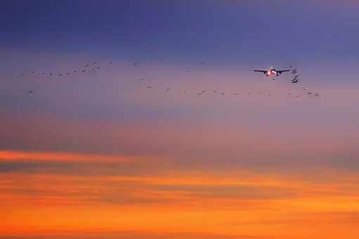 ���ӳ����֙C�ĺ��