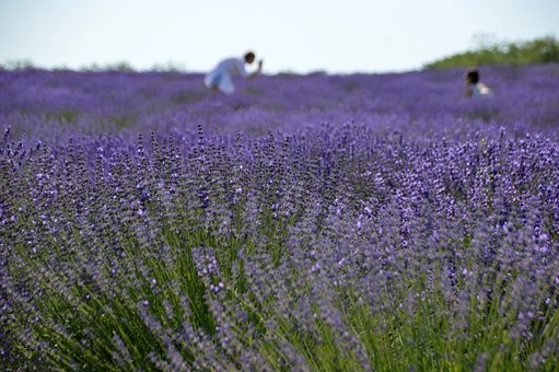老師不是老虎 家長(zhǎng)要多和老師溝通