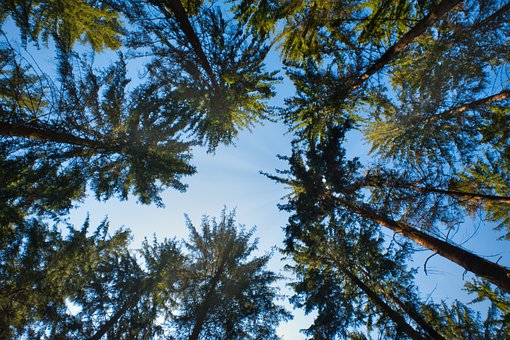 孩子成績越來越差家長該怎么辦