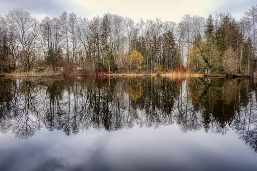 ������Ƣ�ⲻ��ܛ��ԭ��