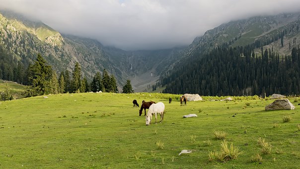 警惕中國式家長的十大“硬傷”